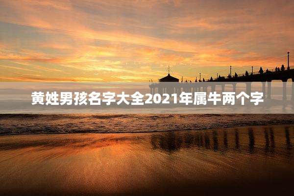 黄姓男孩名字大全2021年属牛两个字