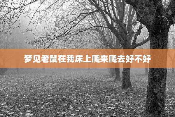 梦见老鼠在我床上爬来爬去好不好