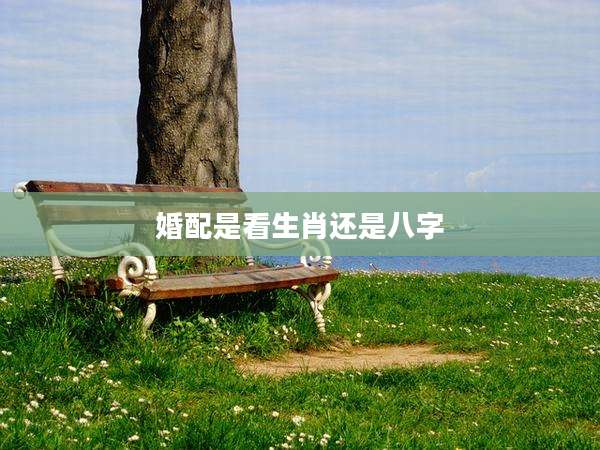 婚配是看生肖还是八字