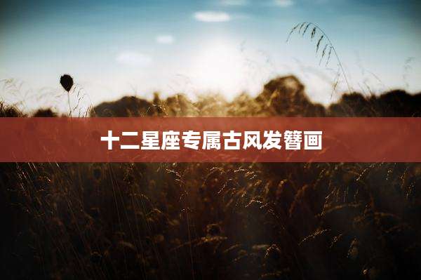十二星座专属古风发簪画