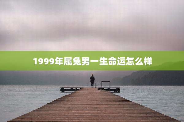 1999年属兔男一生命运怎么样