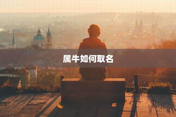 属牛如何取名