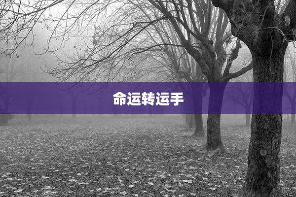 命运转运手