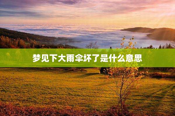 梦见下大雨伞坏了是什么意思