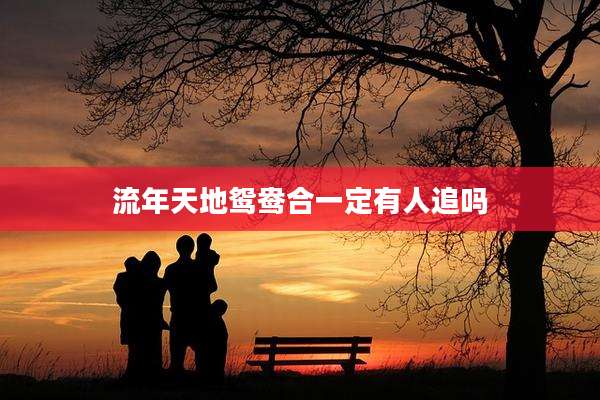 流年天地鸳鸯合一定有人追吗