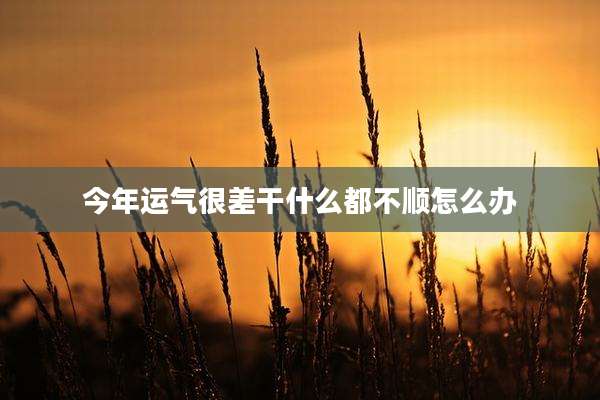 今年运气很差干什么都不顺怎么办