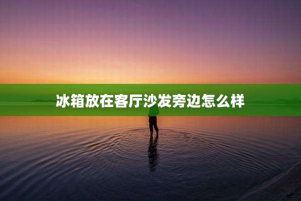 冰箱放在客厅沙发旁边怎么样