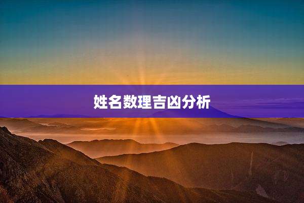 姓名数理吉凶分析