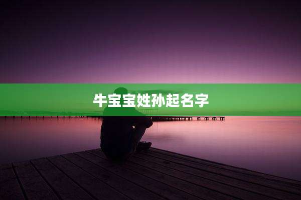 牛宝宝姓孙起名字