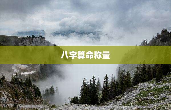 八字算命称量