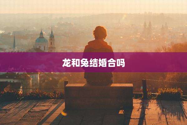 龙和兔结婚合吗