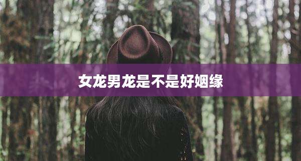 女龙男龙是不是好姻缘