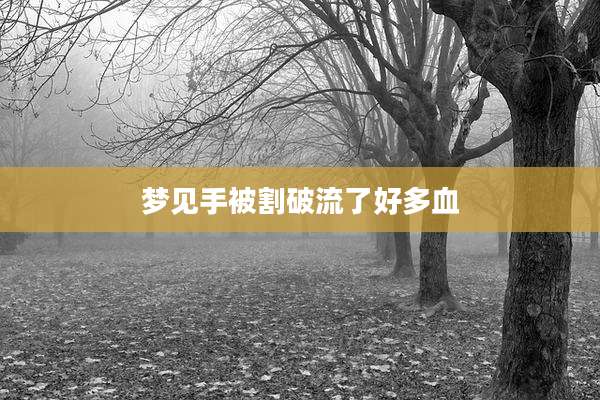梦见手被割破流了好多血
