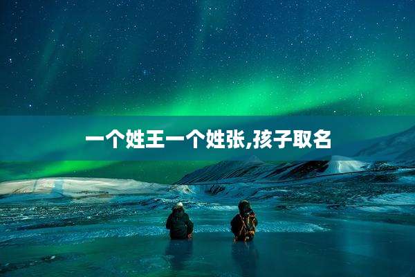 一个姓王一个姓张,孩子取名