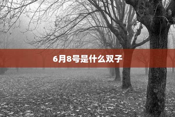 6月8号是什么双子
