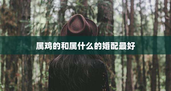 属鸡的和属什么的婚配最好