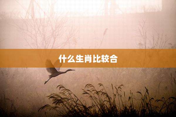 什么生肖比较合