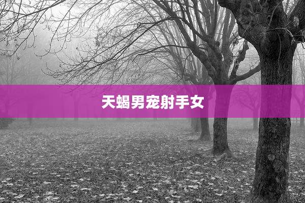 天蝎男宠射手女