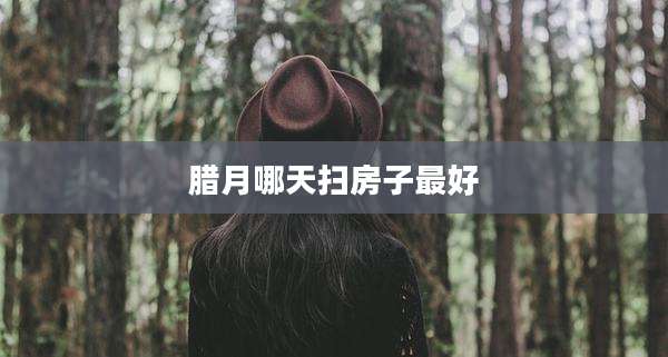 腊月哪天扫房子最好