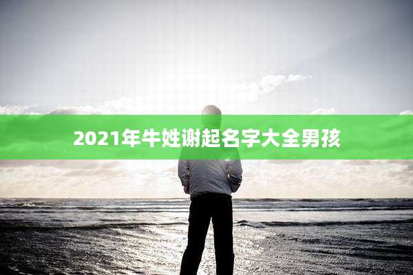 2021年牛姓谢起名字大全男孩