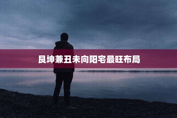 艮坤兼丑未向阳宅最旺布局