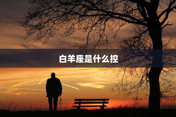 白羊座是什么控