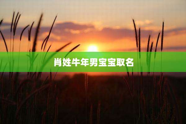 肖姓牛年男宝宝取名