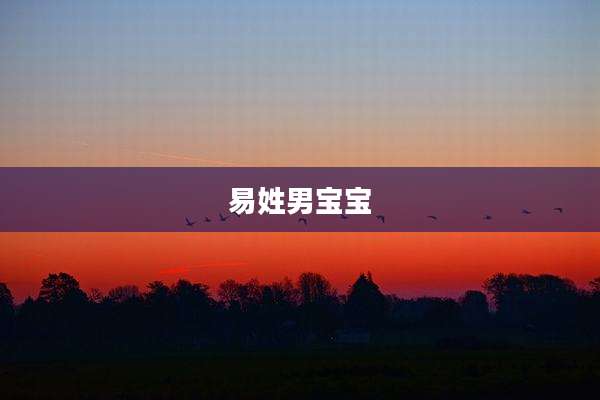 易姓男宝宝