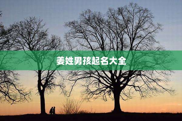 姜姓男孩起名大全