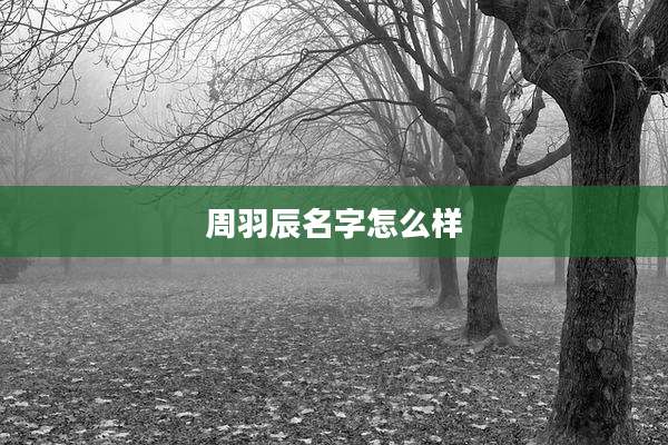 周羽辰名字怎么样