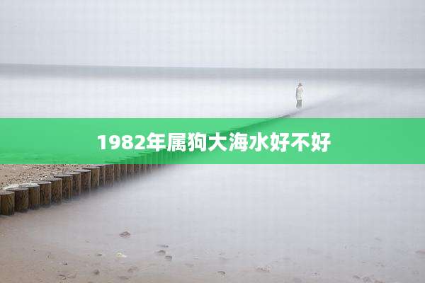 1982年属狗大海水好不好