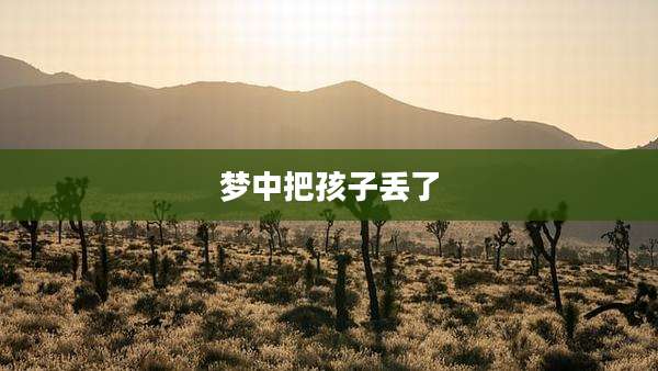 梦中把孩子丢了