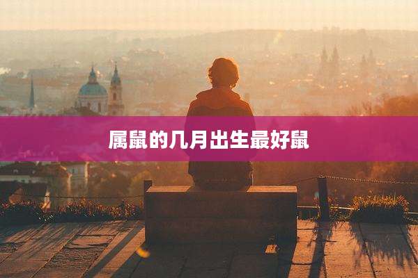 属鼠的几月出生最好鼠