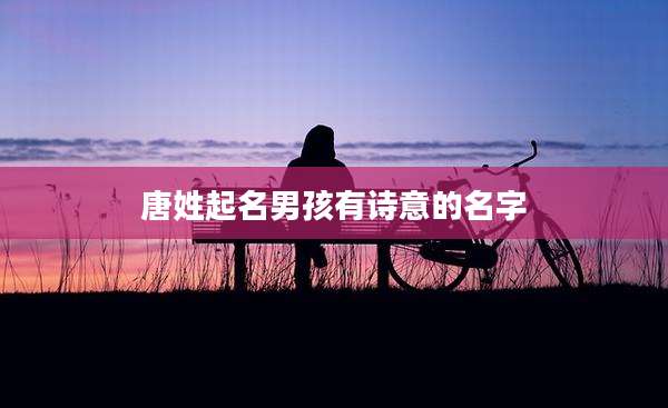 唐姓起名男孩有诗意的名字