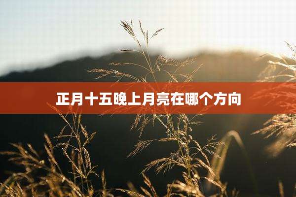 正月十五晚上月亮在哪个方向