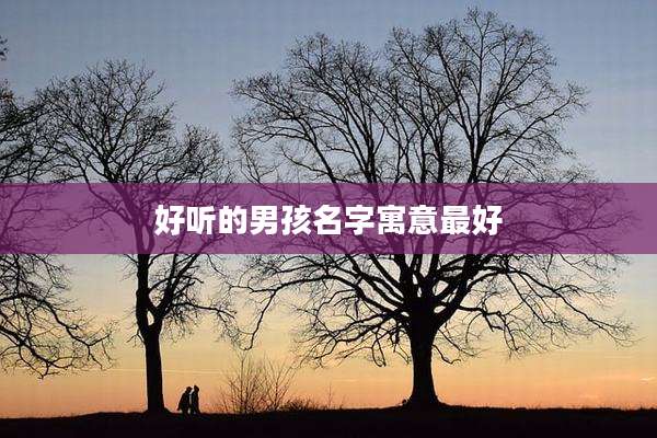 好听的男孩名字寓意最好