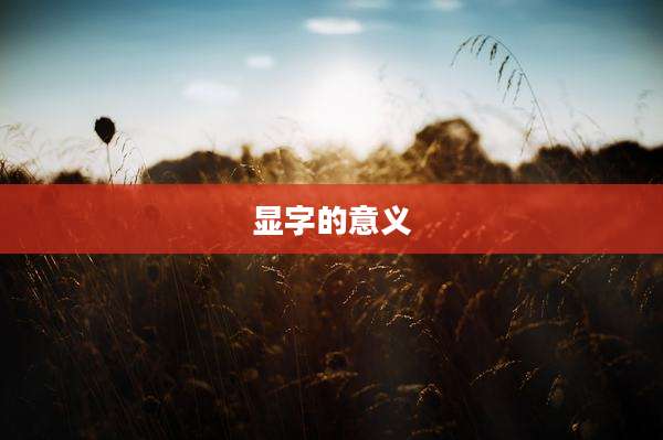 显字的意义