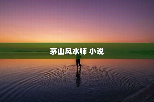 茅山风水师 小说