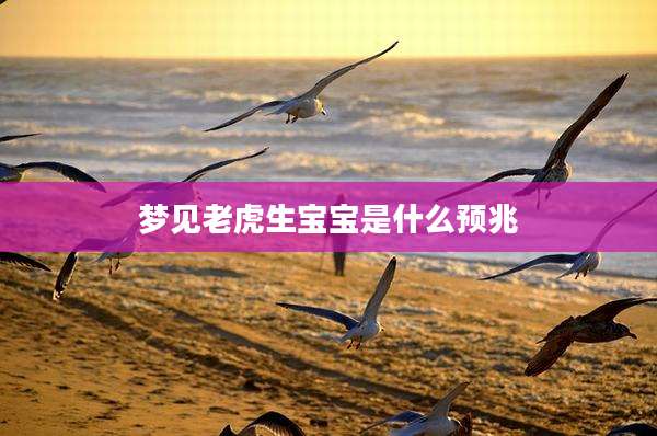 梦见老虎生宝宝是什么预兆