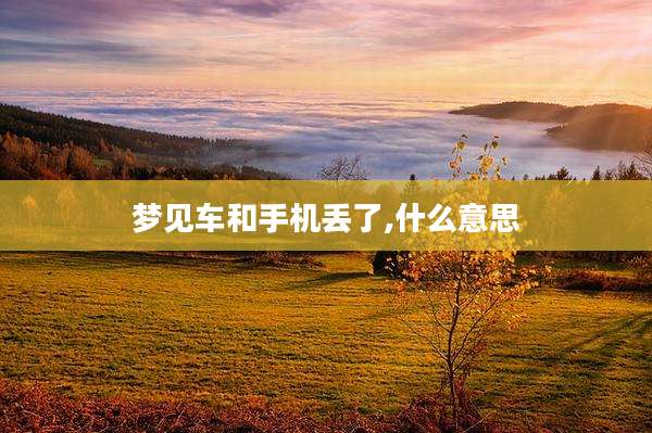 梦见车和手机丢了,什么意思