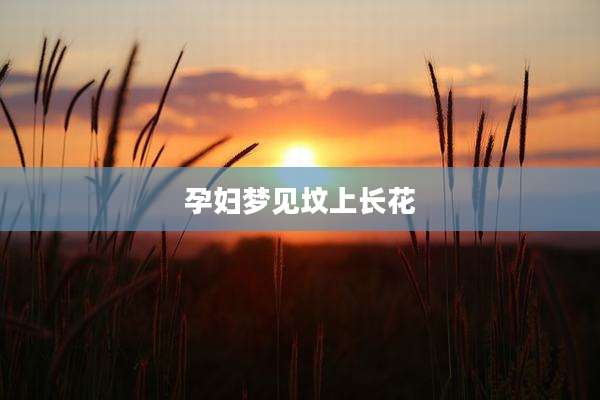 孕妇梦见坟上长花