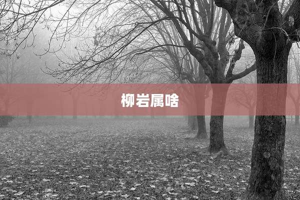 柳岩属啥