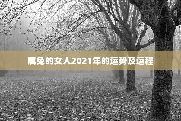 属兔的女人2021年的运势及运程
