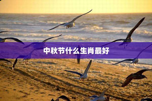 中秋节什么生肖最好