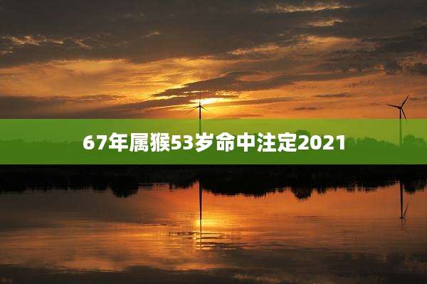 67年属猴53岁命中注定2021