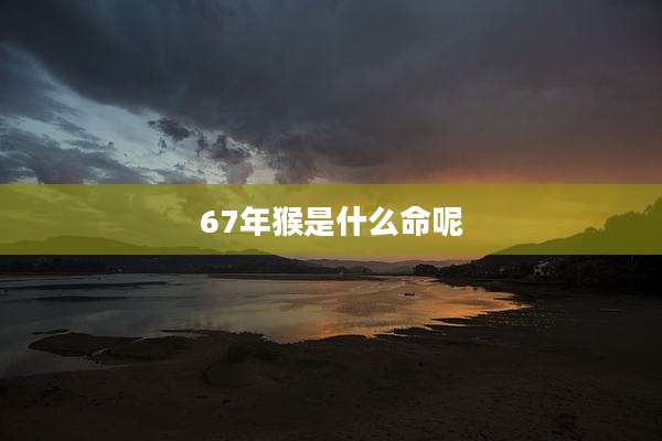 67年猴是什么命呢