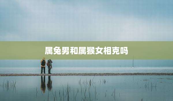 属兔男和属猴女相克吗