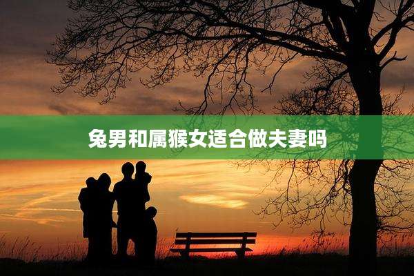 兔男和属猴女适合做夫妻吗