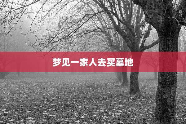 梦见一家人去买墓地