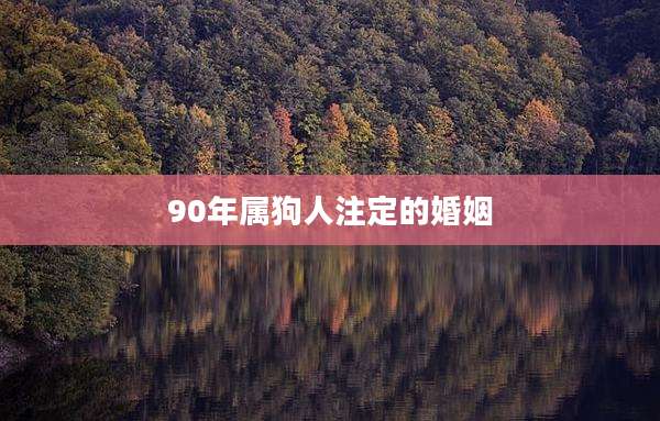90年属狗人注定的婚姻